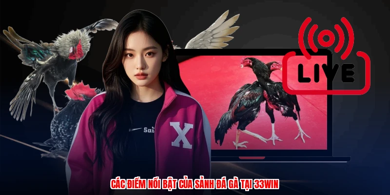 Các điểm nổi bật của sảnh đá gà tại 33Win