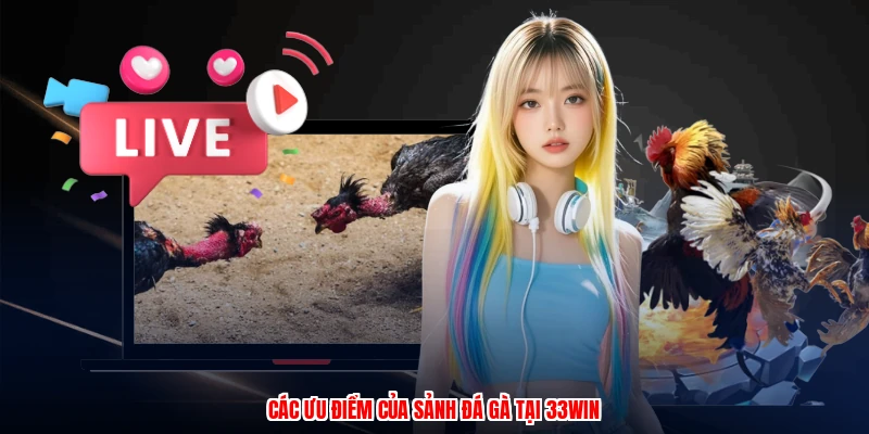 Các ưu điểm của sảnh đá gà tại 33Win