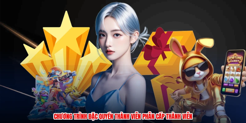 Chương trình đặc quyền thành viên phân cấp thành viên