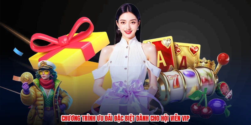 Chương trình ưu đãi đặc biệt dành cho hội viên VIP
