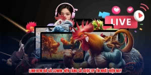 Link Xem Đá Gà 33Win: Nền Tảng Cá Cược Uy Tín Nhất Hiện Nay