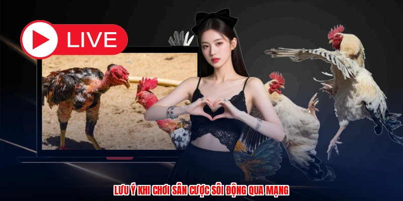 Lưu ý khi chơi sân cược sôi động qua mạng
