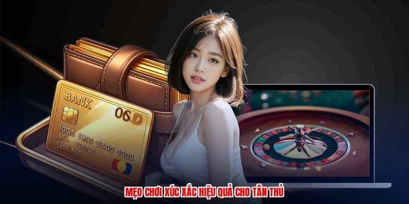 Mẹo chơi xúc xắc hiệu quả cho tân thủ