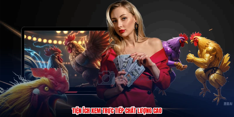Tiện ích xem trực tiếp chất lượng cao