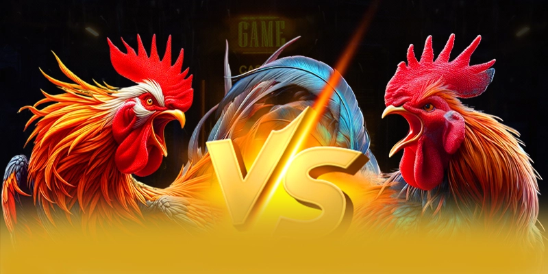 Cùng trải nghiệm 8xbet - Cổng game hàng đầu Việt Nam trên thị trường