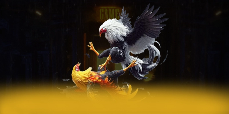 Cùng trải nghiệm BET168 - Cổng cá cược đẳng cấp trên thị trường