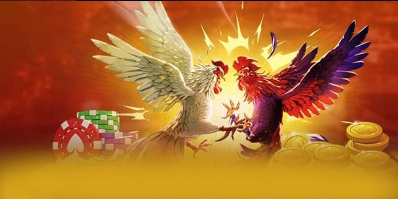 BET88 - Cổng giải trí sở hữu kho game phong phú 2026